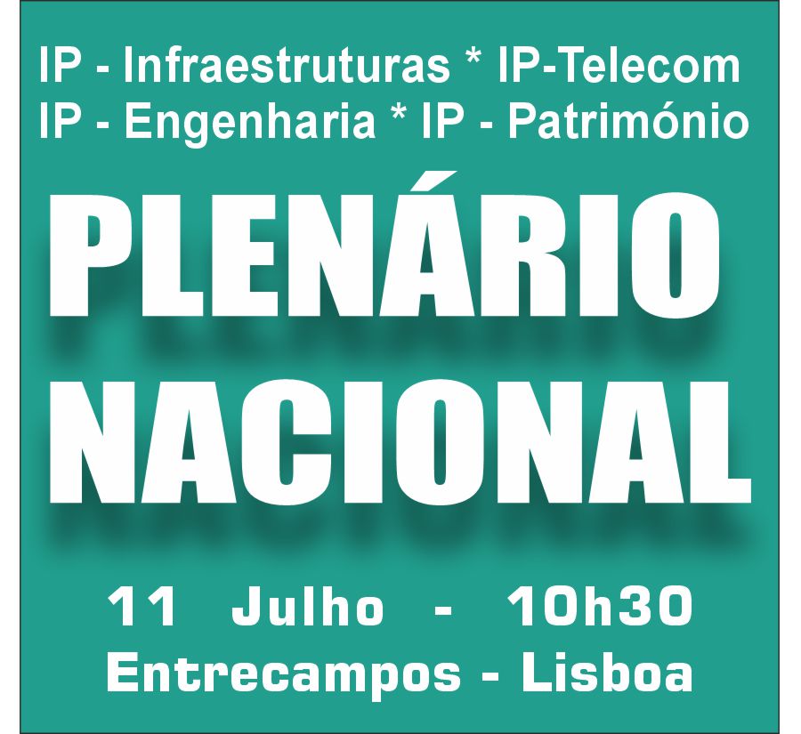 Plenário IP 11 Julho 2024