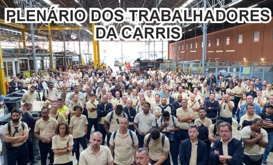 Plenario Carris