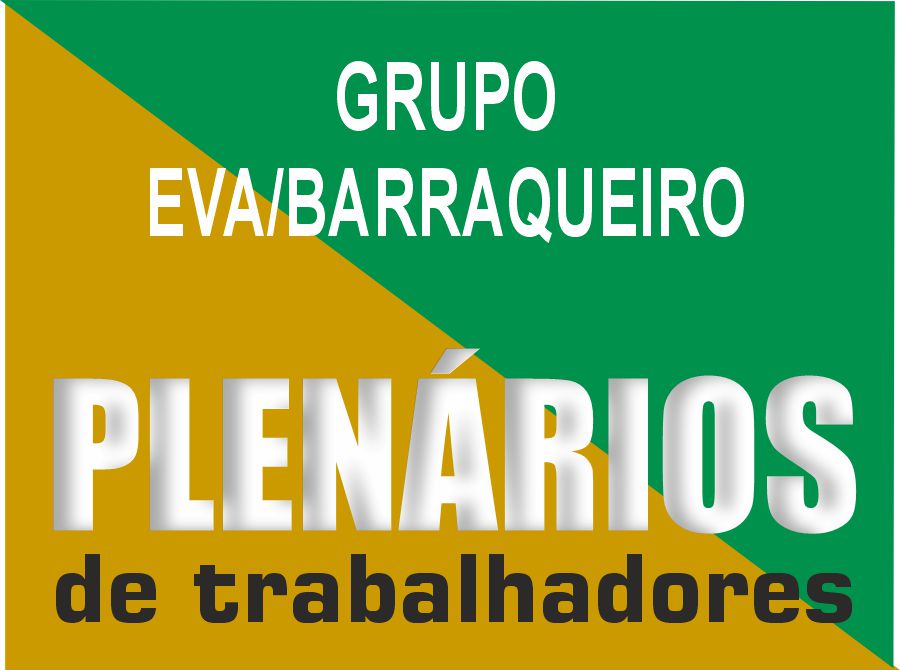 PlenariosEva Barraqueiro